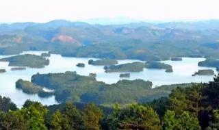 大城小事txt 大城小事txt