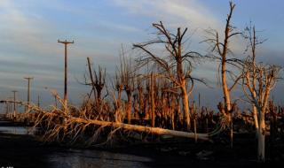 阿根廷十大城市排名
